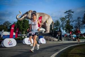 BIB: 
                            <button type="button" onclick="openModal(26541792)" class="btn btn-primary btn-sm float-right btn-popup" data-toggle="modal" data-target=".modal-high-quality">
                        <i class="fas fa-shopping-cart"></i> Add to Cart
                    </button>
                                            <button type="button" onclick="isThisMe(26541792, true)" class="btn btn-success btn-sm float-right btn-popup btn-isme hidden" data-toggle="tooltip" data-placement="bottom" title="นี่คือรูปของคุณใช่ไหม คลิกที่นี่เพื่อเอาเข้าอัลบั้ม">
                        <i class="fas fa-plus"></i> Add to album
                    </button>
                    <button type="button" onclick="isThisMe(26541792, false)" class="btn btn-warning btn-sm float-right btn-popup btn-isnotme hidden">
                        <i class="fas fa-ban"></i> Remove from album
                    </button>